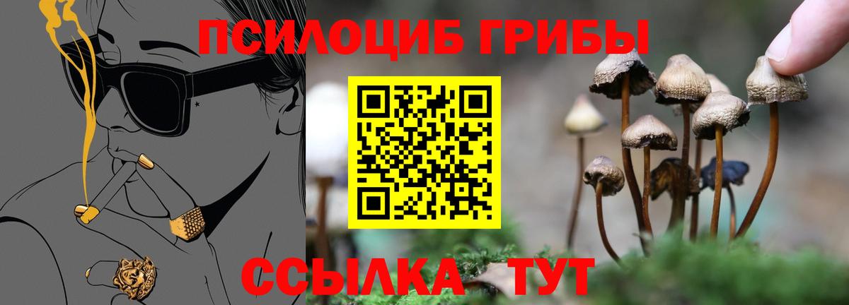 Галлюциногенные грибы Magic Shrooms Костомукша